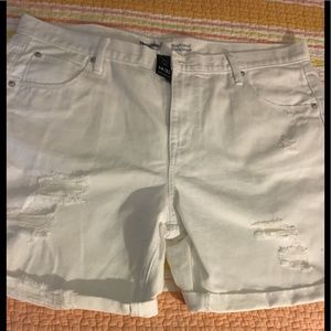 Mossimo Distressed White Denim Size 14 Shorts